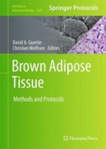 Brown Adipose Tissue
