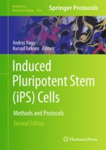 Induced Pluripotent Stem (iPS) Cells