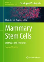 Mammary Stem Cells