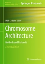 Chromosome Architecture