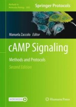 cAMP Signaling