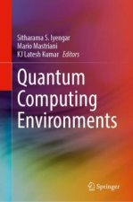 Quantum Computing Environments