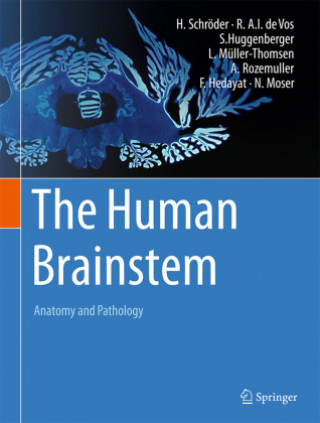 Human Brainstem