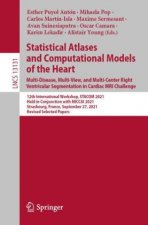 Statistical Atlases and Computational Models of the Heart. Multi-Disease, Multi-View, and Multi-Center Right Ventricular Segmentation in Cardiac MRI C