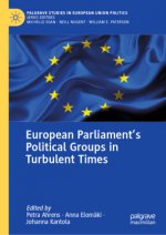 European Parliament's Political Groups in Turbulent Times