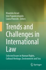 Trends and Challenges in International Law