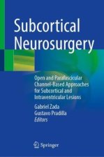 Subcortical Neurosurgery