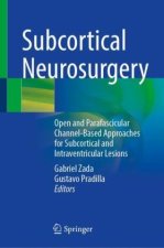 Subcortical Neurosurgery