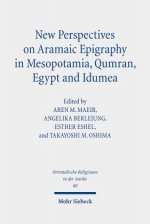 New Perspectives on Aramaic Epigraphy in Mesopotamia, Qumran, Egypt and Idumea