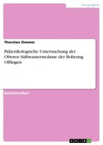 Paläoökologische Untersuchung der Oberen Süßwassermolasse der Bohrung Offingen