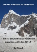 Der Solu-Gletscher im Karakorum