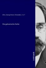 Die galvanische Kette