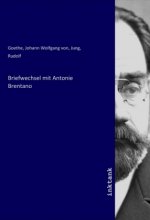 Briefwechsel mit Antonie Brentano