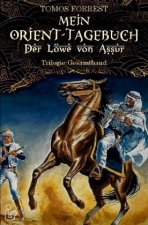 MEIN ORIENT-TAGEBUCH: DER LÖWE VON ASSUR