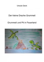 Der kleine Drache Grummeli. Grummeli und Pit in Feuerland