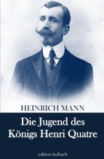 Die Jugend des Königs Henri Quatre