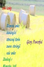 Zlomená srdce získávající ztracený terén znovu otevírají vase srdce