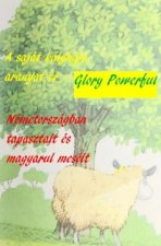 A saját kályhája aranyat ér Németországban tapasztalt és magyarul mesélt