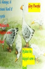 Li Almanya, bi zimanê Kurdî tê vegotin Wijdana bas balgiyek nerm e Kurdî