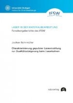 Charakterisierung gepulster Laserstrahlung zur Qualitätssteigerung beim Laserbohren; .