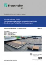 Spezielle Randbedingungen für die hygrothermische Simulation von Flachdächern in Holzbauweise.