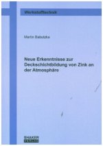 Neue Erkenntnisse zur Deckschichtbildung von Zink an der Atmosphäre