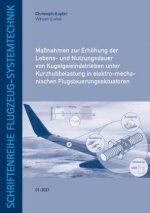 Maßnahmen zur Erhöhung der Lebens- und Nutzungsdauer von Kugelgewindetrieben unter Kurzhubbelastung in elektro-mechanischen Flugsteuerungsaktuatoren