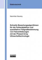 Schnelle Bewertungsalgorithmen für die Fehlerdetektion und quantitative Füllgradbestimmung von Falzverklebungen mit der Phased Array Ultraschalltechno