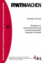 Strategie zur Varianzbeherrschung kundenindividueller integraler Produkte