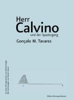 Herr Calvino und der Spaziergang