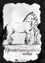 Pferdetraining rund ums Jahr