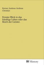 Ernster Blick in das künftige Leben oder das Reich der Geister.
