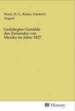 Gedrängtes Gemälde des Zustandes von Mexiko im Jahre 1827