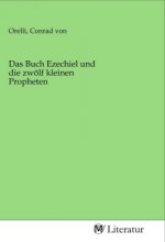 Das Buch Ezechiel und die zwölf kleinen Propheten
