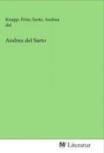 Andrea del Sarto