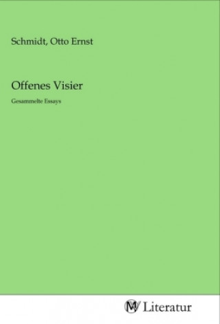 Offenes Visier