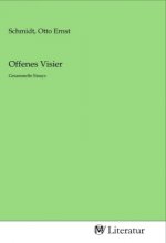 Offenes Visier