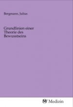 Grundlinien einer Theorie des Bewusstseins