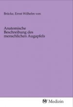 Anatomische Beschreibung des menschlichen Augapfels