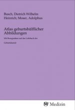 Atlas geburtshülflicher Abbildungen