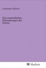 Die entzündlichen Erkrankungen des Darms