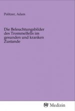 Die Beleuchtungsbilder des Trommelfells im gesunden und kranken Zustande