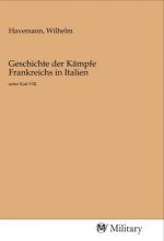 Geschichte der Kämpfe Frankreichs in Italien
