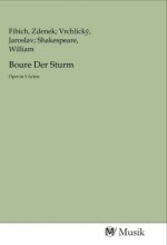 Boure Der Sturm