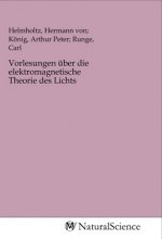Vorlesungen über die elektromagnetische Theorie des Lichts