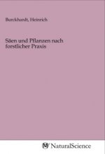 Säen und Pflanzen nach forstlicher Praxis