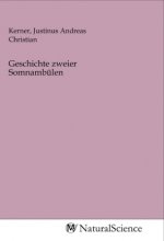 Geschichte zweier Somnambülen