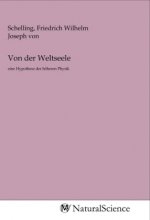 Von der Weltseele