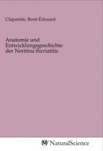 Anatomie und Entwicklungsgeschichte der Neritina fluviatilis
