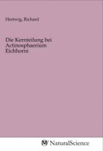 Die Kernteilung bei Actinosphaerium Eichhorni